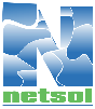 NetSol Technologies Pakistan