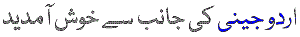 Learn English and Urdu by playing games